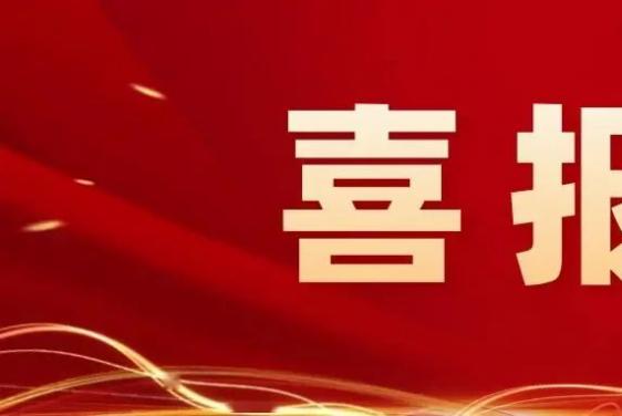 喜报|山东磐金钢管制造有限公司入选“2024年度山东省高端品牌重点培育企业”名单